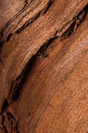 922075908669b838adbb8f.jpg__PID:51a24bff-cb00-4684-a70d-97eb3649c19e